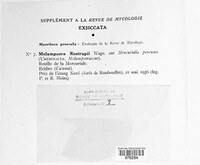 Melampsora rostrupii image